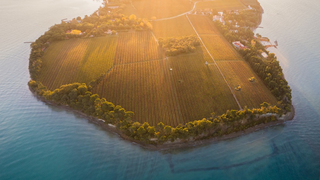 Coast_of_Ankaran_from_the_air_-_Photographer_-_Jaka_Ivancic_-_Source_-_www-slovenia-info_3.jpg