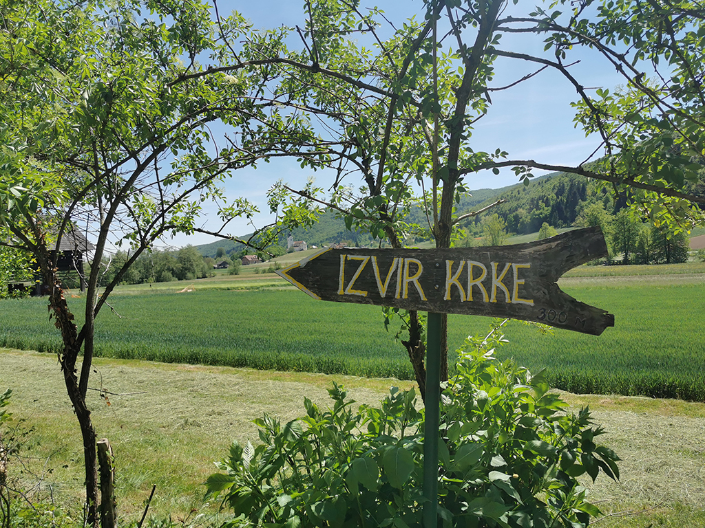 izvir_reke_krka_v_vasi_Krka.jpg