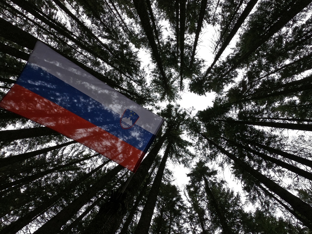 Iglavci_na_obmocju_poslednjega_boja_Pohorskega_bataljona.JPG