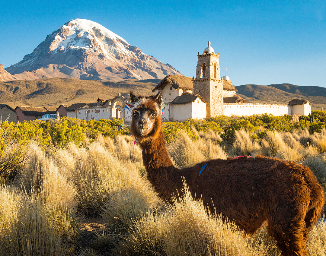 Potovanje_v_Bolivijo_-_Travel_to_Bolivia_-_Photo_by_Alain_Bonnardeaux_on_Unsplash.jpg