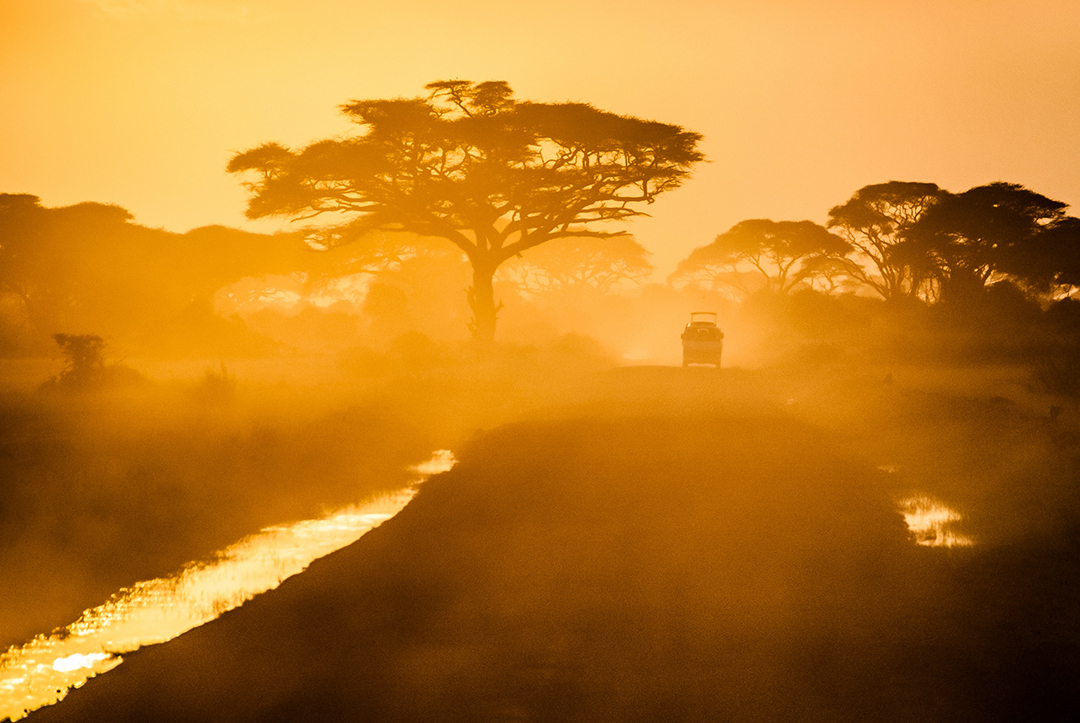 Potovanje_po_Afriki_-_A_trip_to_Africa_-_Photo_by_Sergey_Pesterev_on_Unsplash.jpg