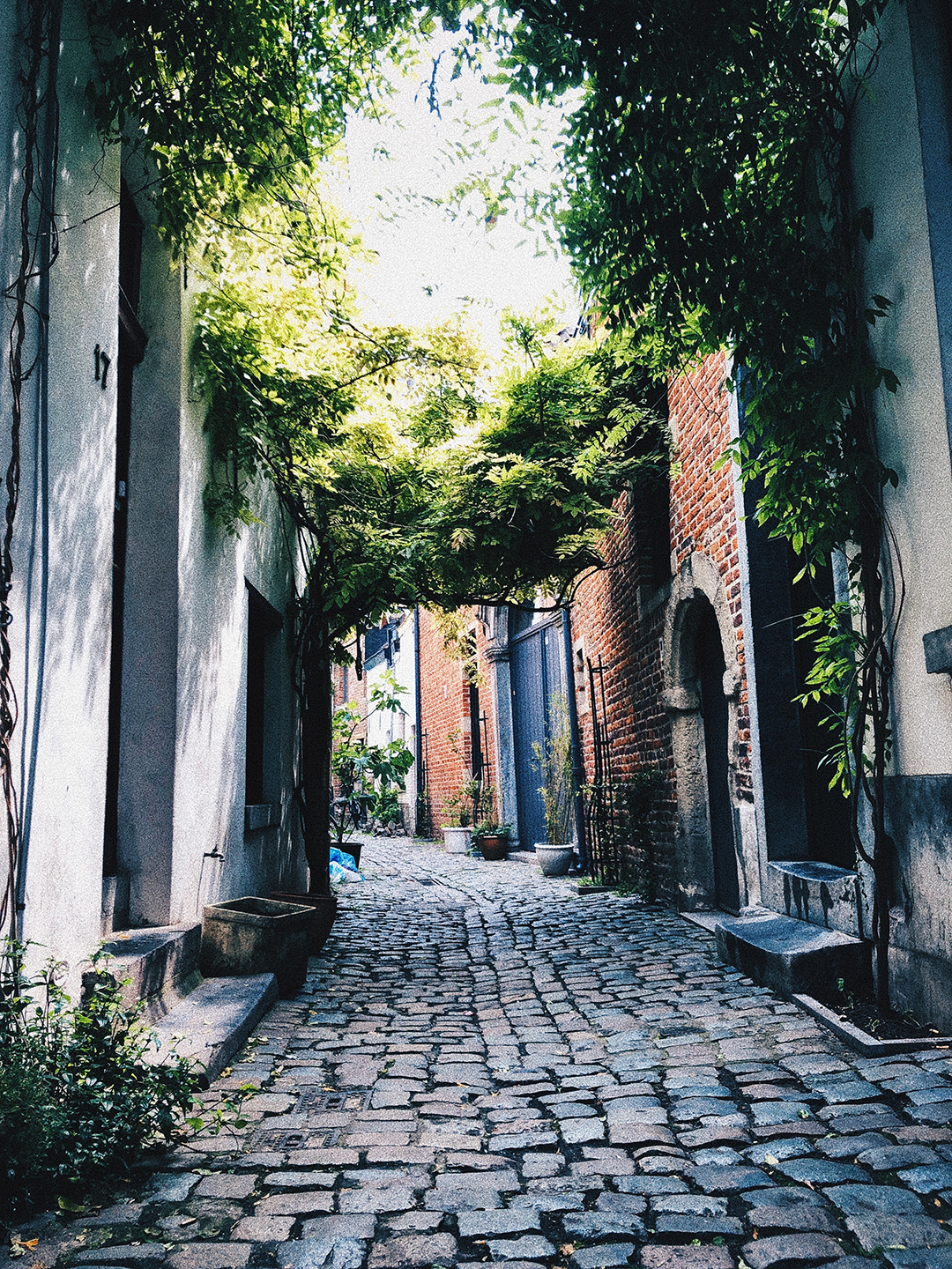 Potovanje_v_Belgijo_-_Travel_to_Belgium_-_Photo_by_Alex_Vasey_on_Unsplash.jpg
