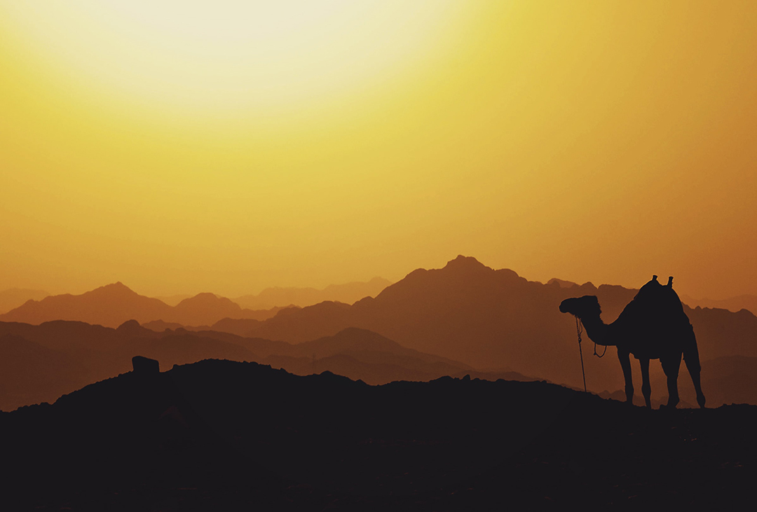 Potovanje_po_Egiptu_-_A_journey_through_Egypt_-_Photo_by_Mariam_Soliman_on_Unsplash.jpg