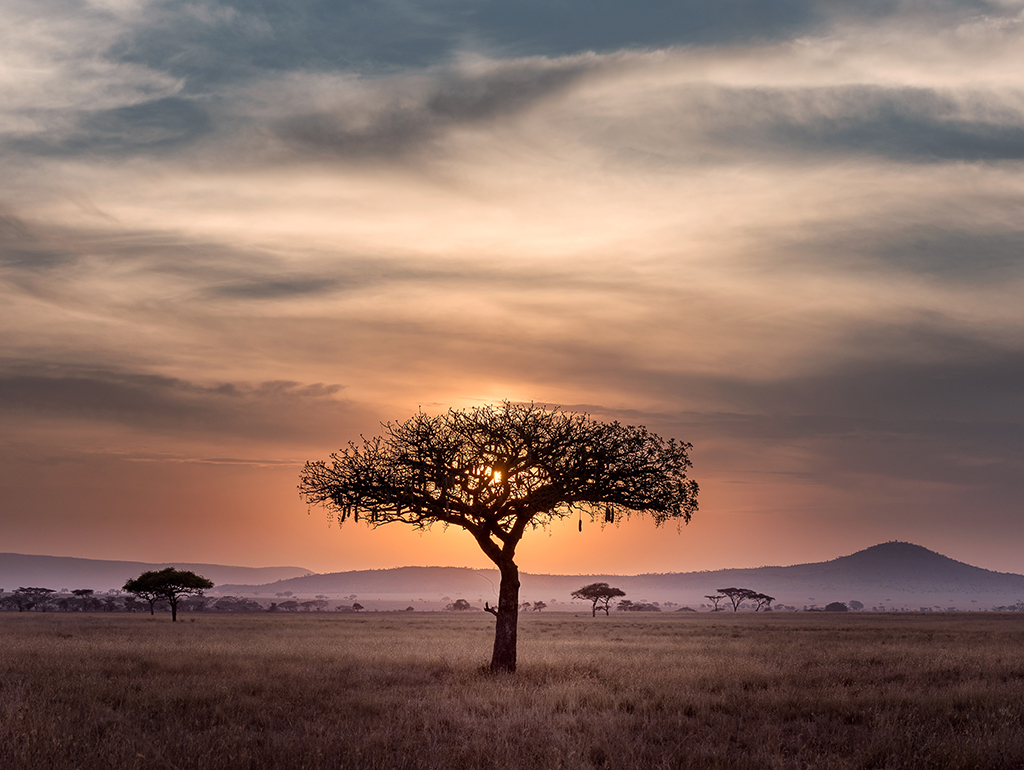 Potovanje_po_Tanzaniji_-_A_trip_to_Tanzania_-_Photo_by_Hu_Chen_on_Unsplash.jpg