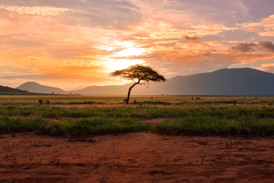 Juzna_Afrika_za_popotnike_-_South_Africa_for_travelers_-_Photo_by_Damian_Patkowski_on_Unsplash.jpg