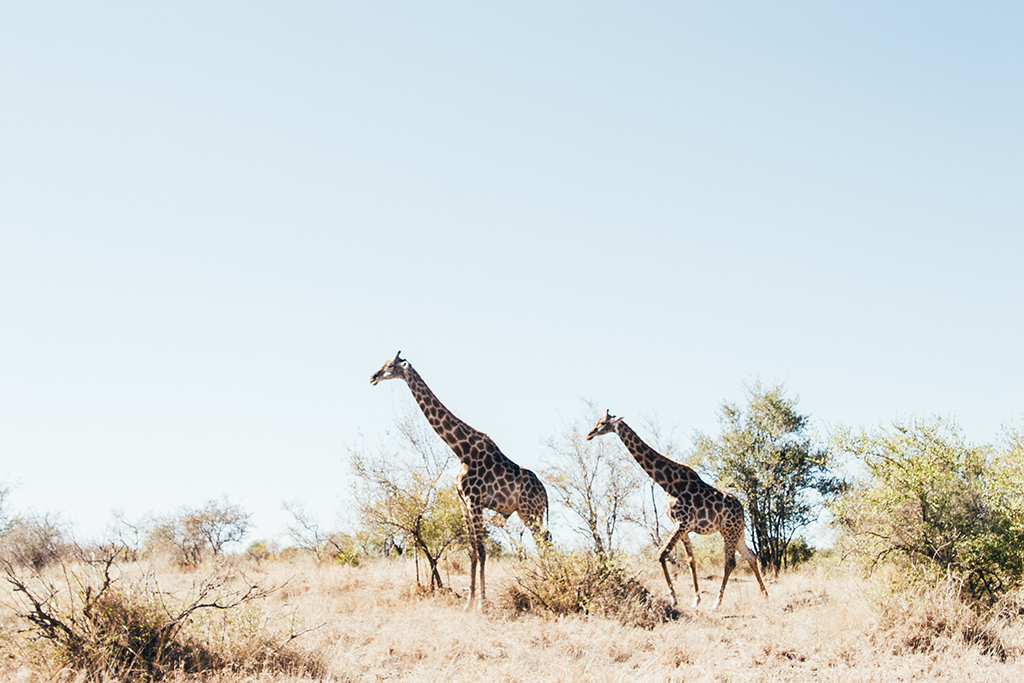 Photo_by_Tobin_Rogers_on_Unsplash.jpg