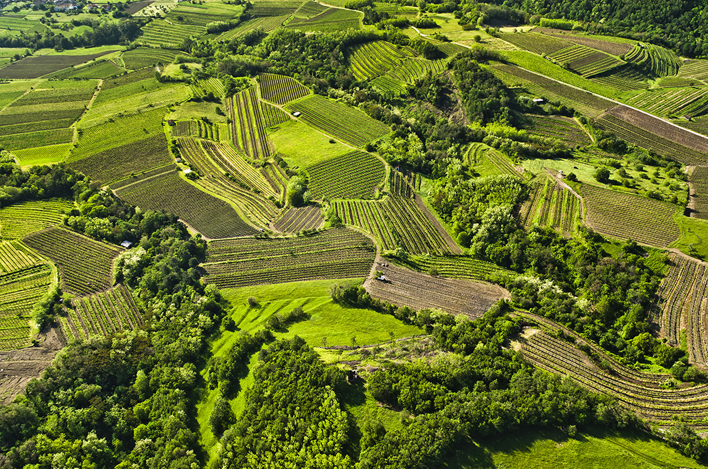 Upper_Vipava_valley_-_Photographer_-_Nea_Culpa_-_Source_-_www-slovenia-info.jpg