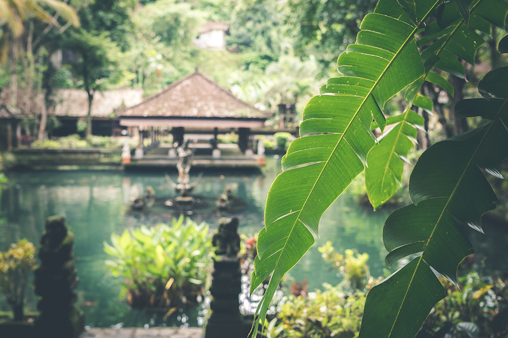 Photo_by_Artem_Beliaikin_on_Unsplash.jpg