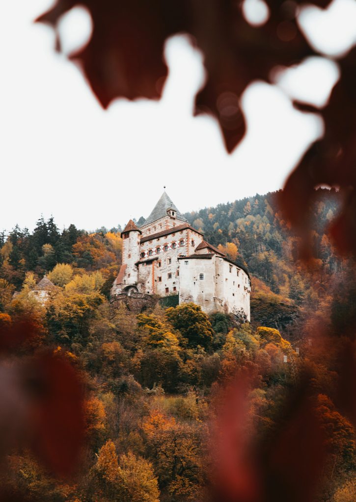 Photo_by_Jade_Stephens_on_Unsplash.jpg