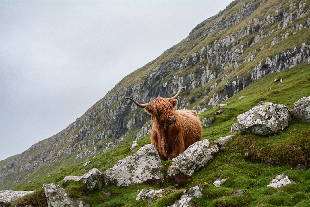 Kje_spati_na_Skotskem_-_Where_to_sleep_in_Scotland_-_Photo_by_Eric_Welch_on_Unsplash.jpg
