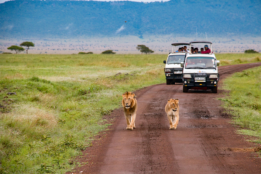 Potovanje_v_Kenijo_-_Travelling_to_Kenya_-_Photo_by_Craig_Stevenson_on_Unsplash.jpg
