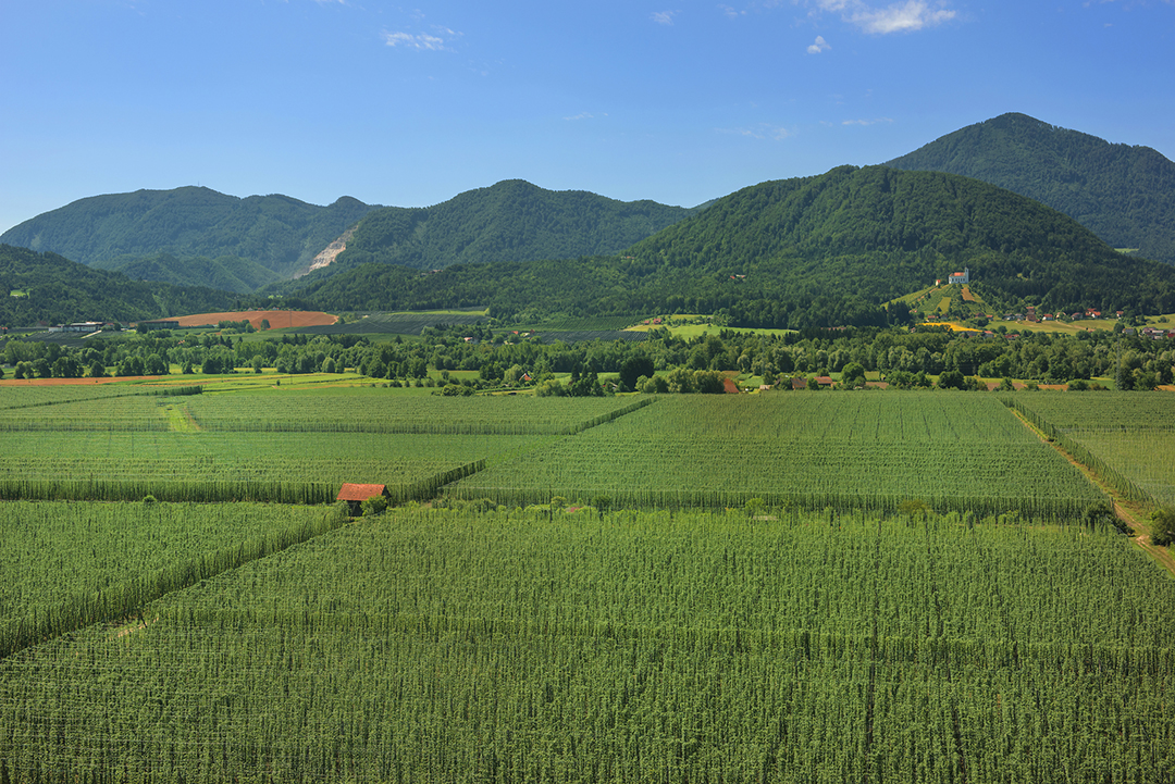 Green_Savinjska_Valley_-_Photographer_-_Nea_Culpa_-_Source_-_www-slovenia-info.jpg