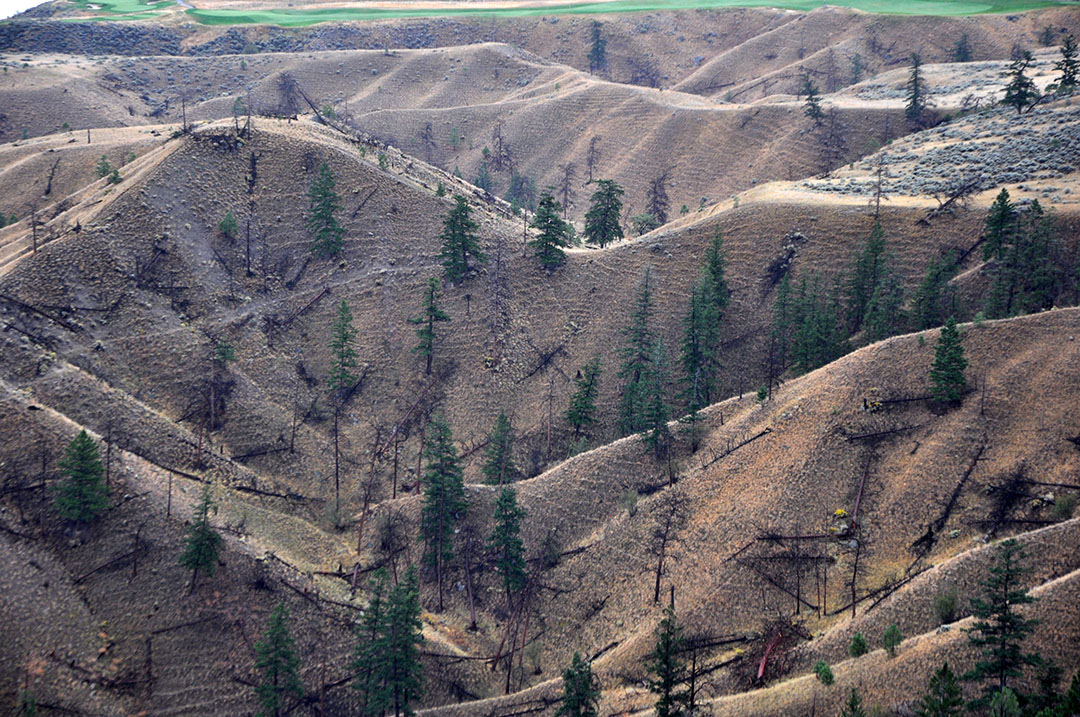 Cudovita_Britanska_Kolumbija_-_Exploring_the_Beauty_of_British_Columbia_6.JPG