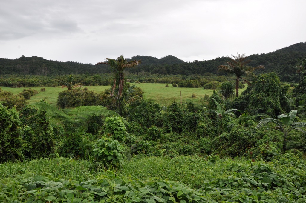 Potovanje_na_Fidzi_-_Travel_to_Fiji_5.jpg