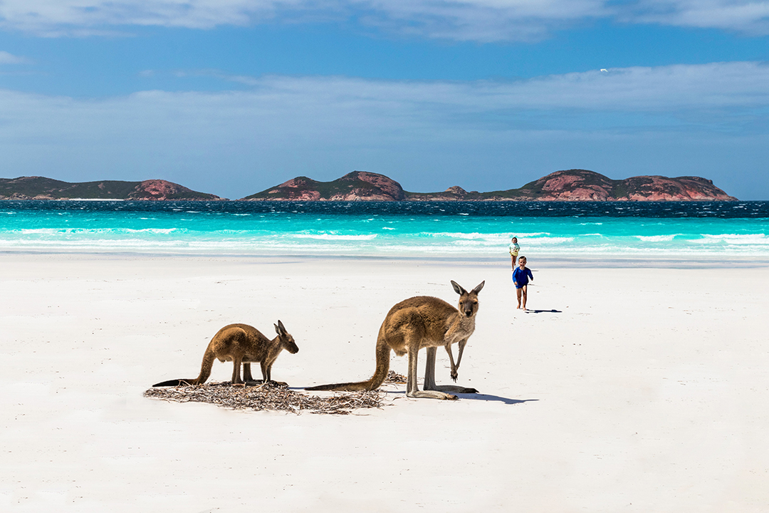 Otok_kengurujev_-_Kangaroo_Island_-_Photo_by_Nick_Dunn_on_Unsplash.jpg