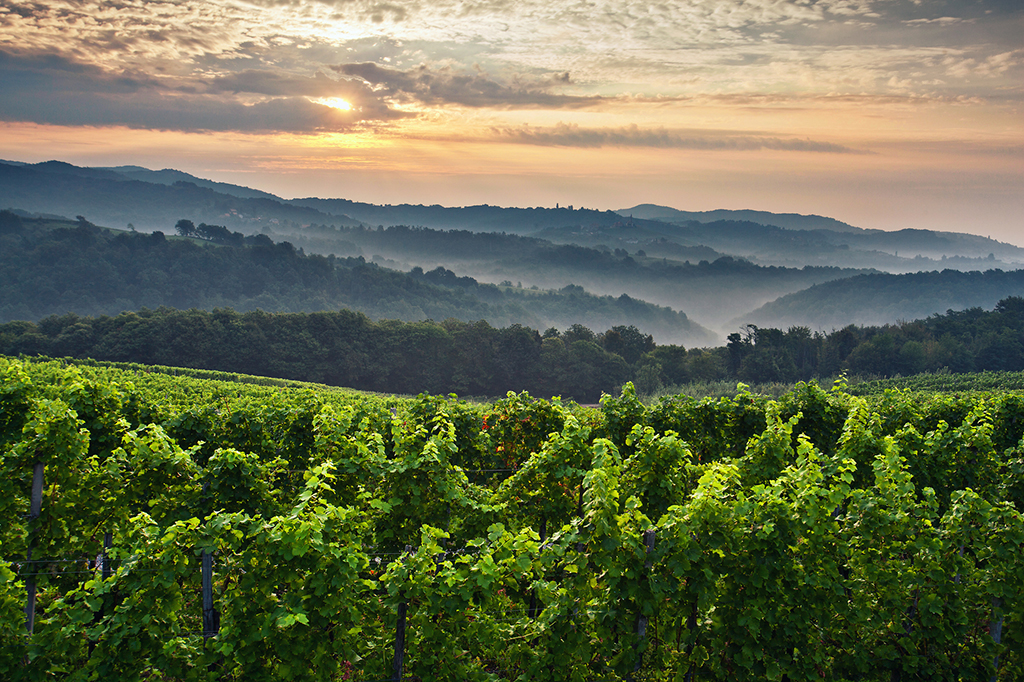 Province_of_Bela_krajina_-_Photographer_-_Jost_Gantar_-_Source_-_www-slovenia-info.jpg