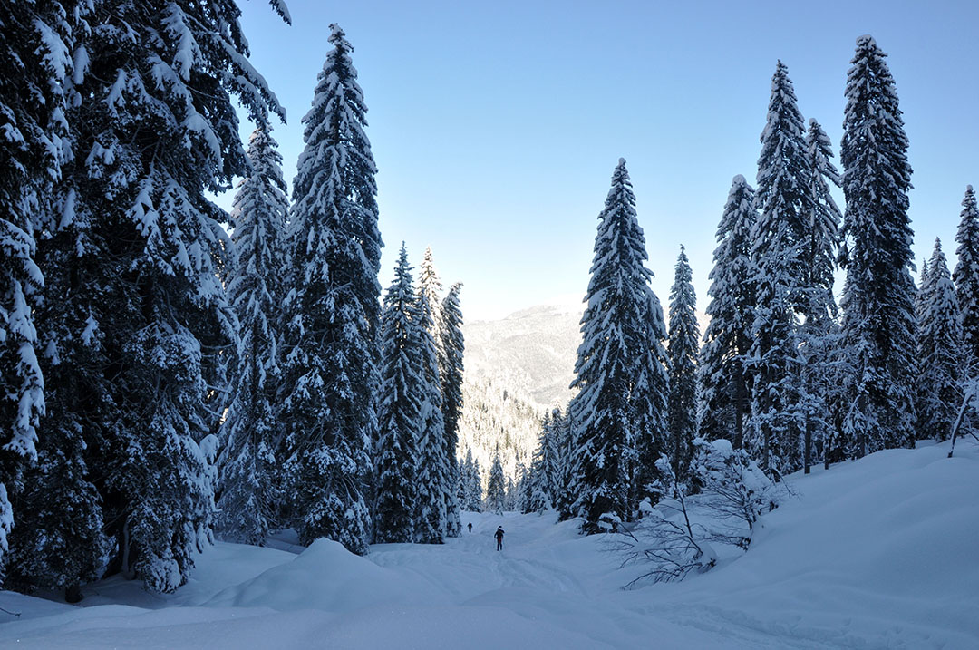 Svete_Visarje_-_Monte_Santo_di_Lussari_2.JPG
