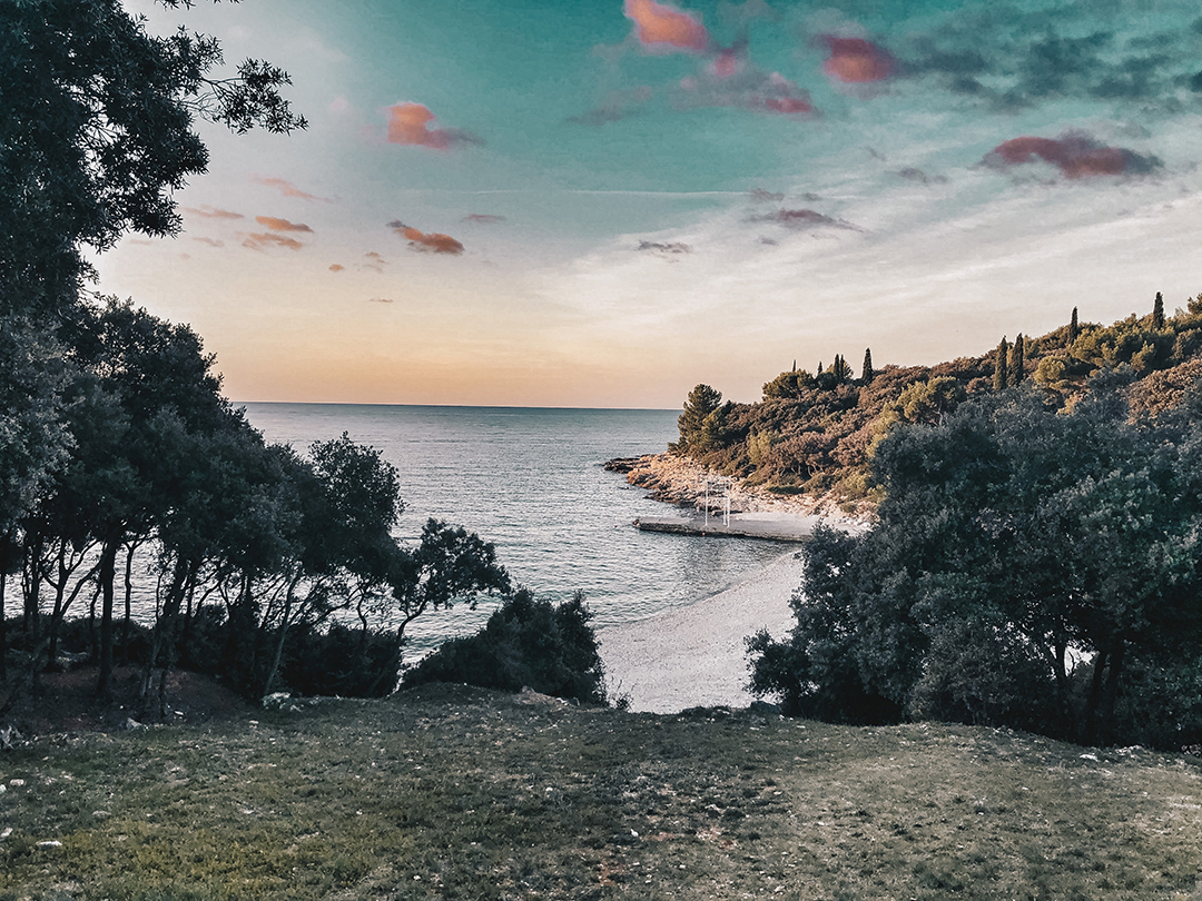 Photo_by_Aldeen_Li_Li_on_Unsplash.jpg