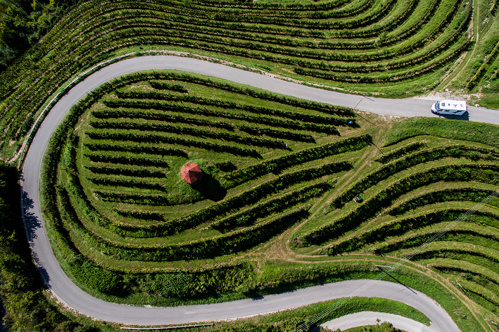 Camper_vacation_in_Haloze_hills_-_Photographer_-_Vid_Ponikvar_arhiv_Sportida_d-o-o-_-_Source_-_www-slovenia-info.jpg
