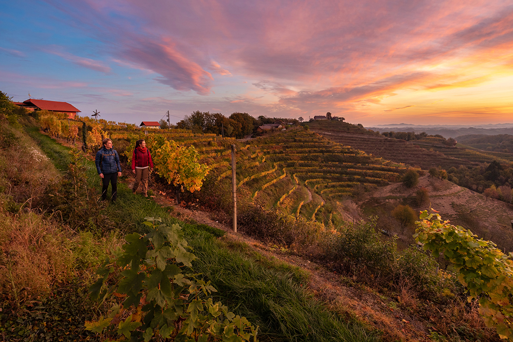 Hiking_in_the_vineyards_Haloze_-_Photographer_-_Jost_Gantar_-_Source_-_www-slovenia-info.jpg
