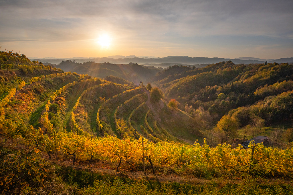 Sunrise_in_Haloze_-_Photographer_-_Jost_Gantar_-_Source_-_www-slovenia-info.jpg