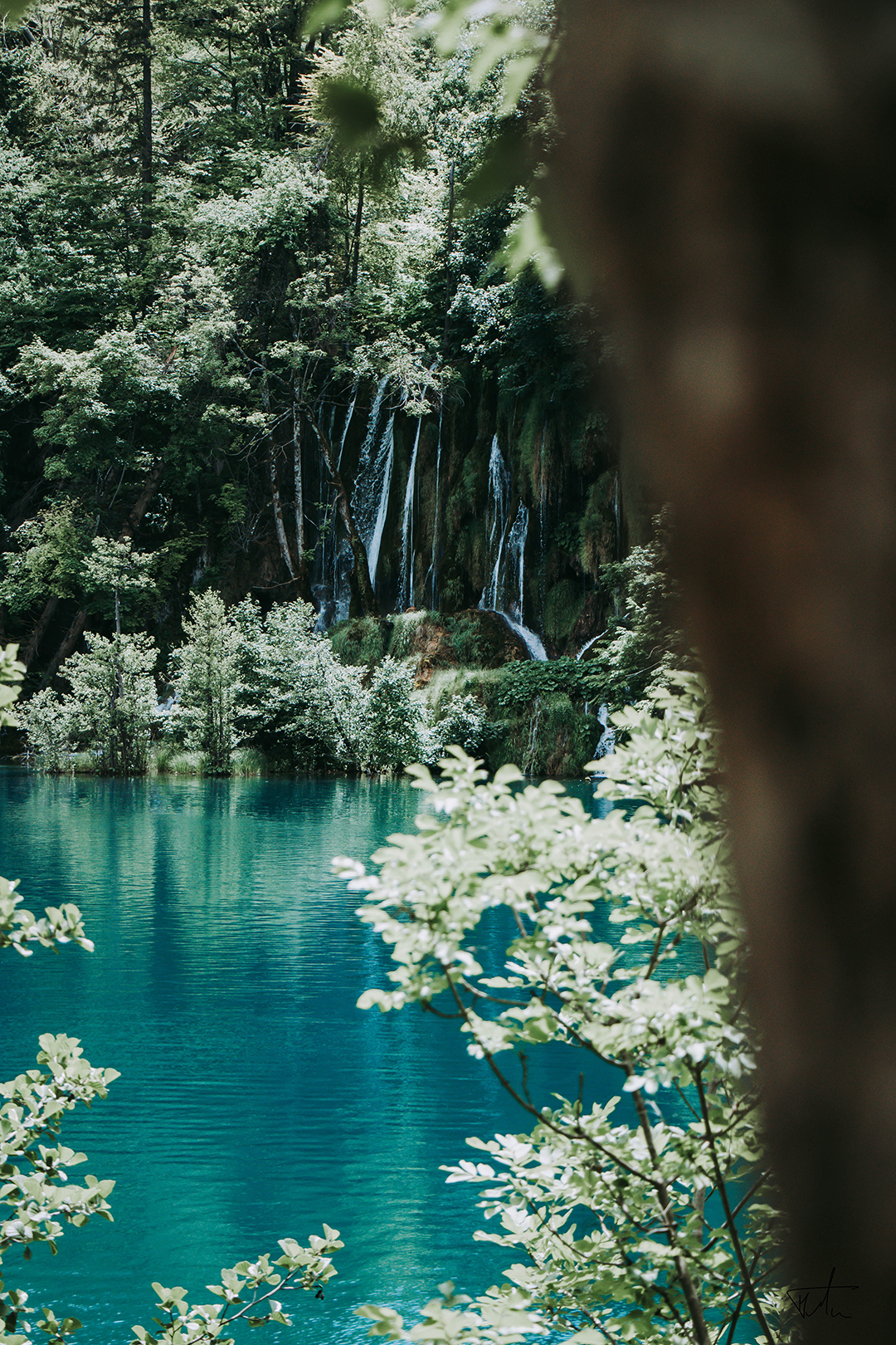 Obisk_in_ogled_Plitvickih_jezer_-_Visit_and_tour_of_Plitvice_Lakes_-_Photo_by_Marko_Tuan_on_Unsplash.jpg