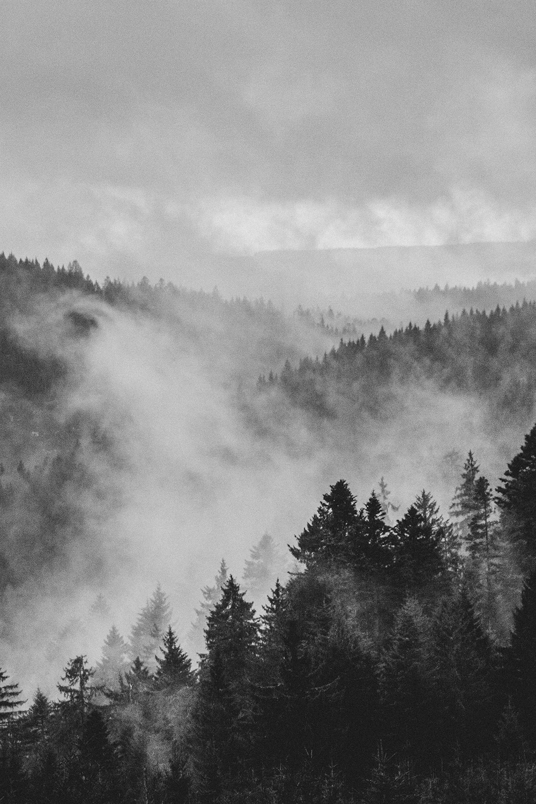 Obisk_Crnega_gozda_v_Nemciji_-_Visit_to_the_Black_Forest_in_Germany_-_Photo_by_Zeke_Tucker_on_Unsplash.jpg