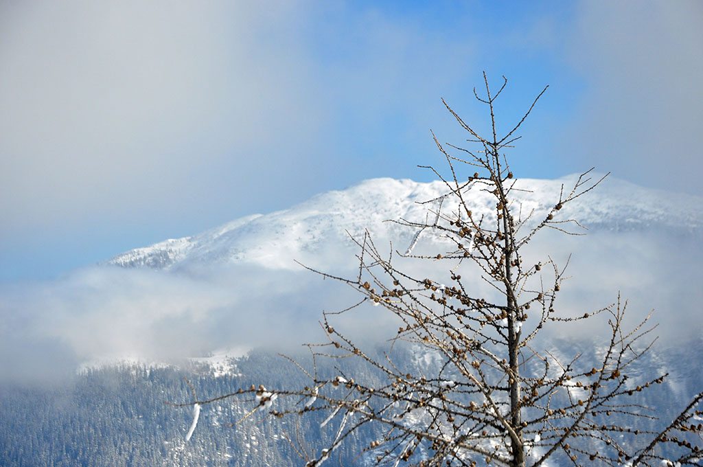 Avstrijske_Karavanke_-_Austrian_side_of_Karavanke_11.JPG