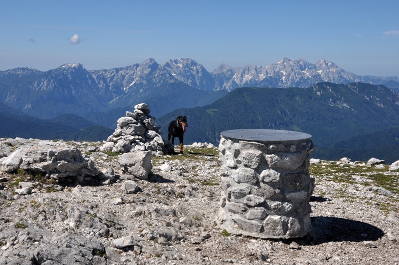 Gora_Peca_-_A_mountain_Peca_9.JPG