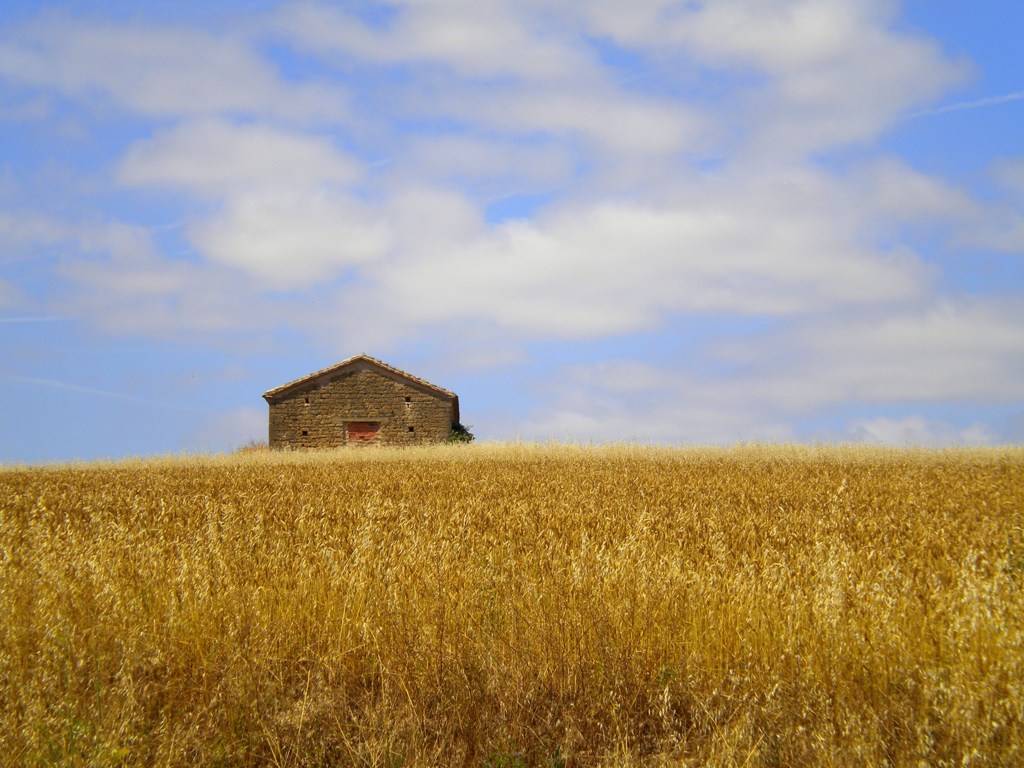 Camino_de_Santiago_2.JPG
