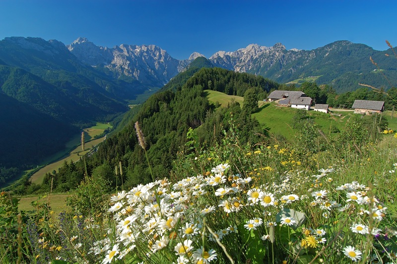Logarska_valleyAuthor-Tomo_Jesenicnik_Source_-_www-slovenia-info.jpg