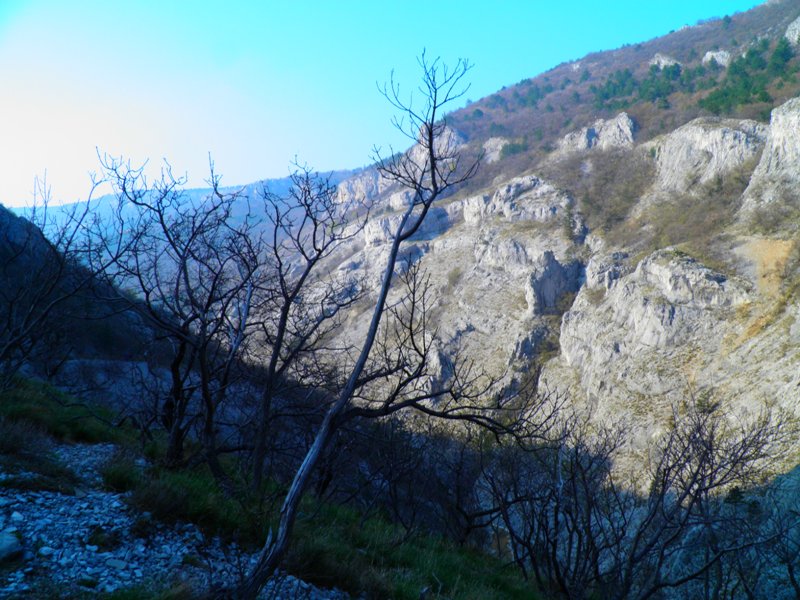 Dolina_Goliscica_-_Val_Rosandra_2.jpg