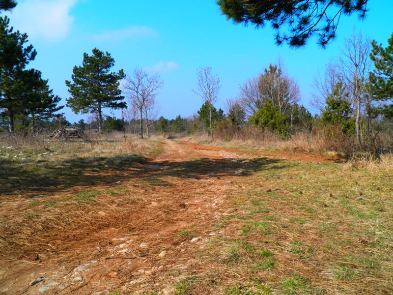 Dolina_Goliscica_-_Val_Rosandra_3.jpg