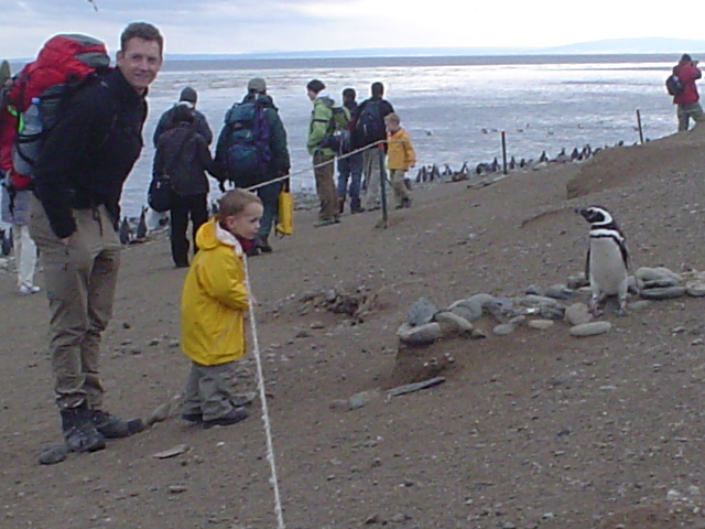 Isla_Magdalena_Chile_-_Otok_Magdalena_Cile_3.JPG