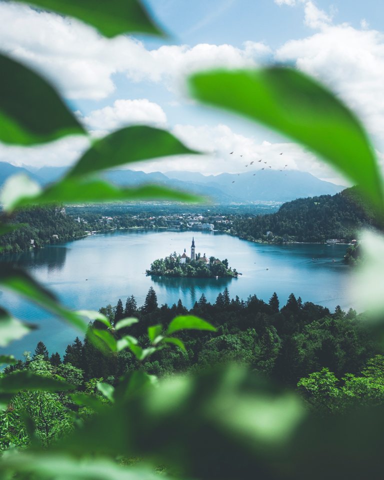 Photo_by_Amadej_Tauses_on_Unsplash.jpg