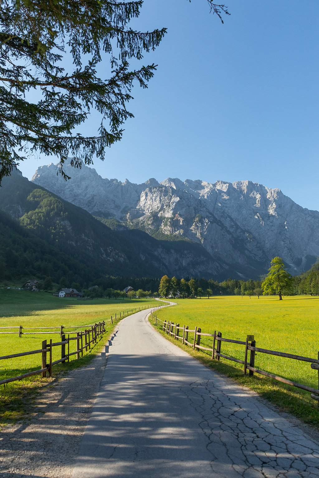 Summer_in_Logarska_dolina_valley_-_Photographer_-_Ziga_Kalan_Produkcija_Studio_-_Source_-_www-slovenia-info.jpg