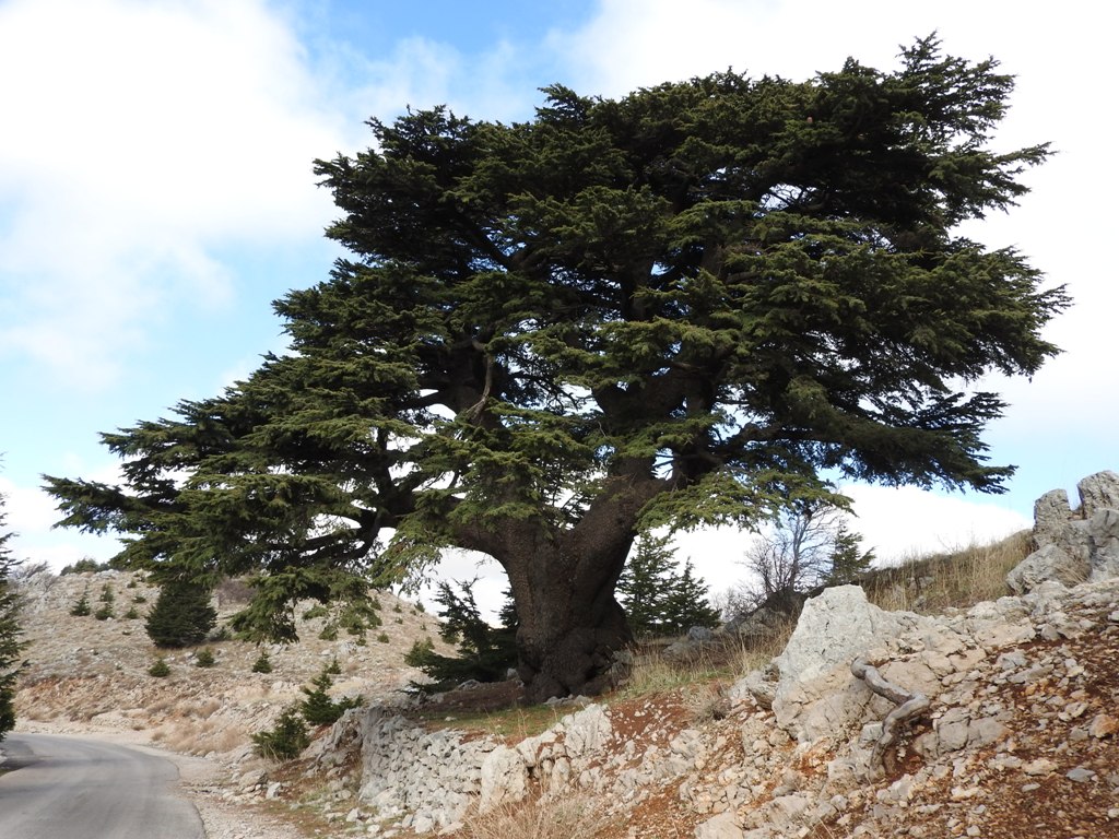 Potovanje_v_Libanon_-_Travelling_to_Lebanon_2.JPG