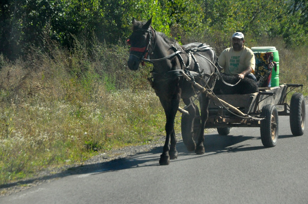 Romunija_-_Mateja_Mazgan_17.jpg