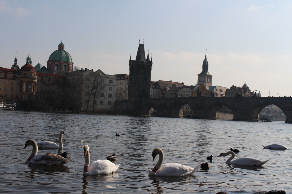 Praga_-_Nastja_18.jpg