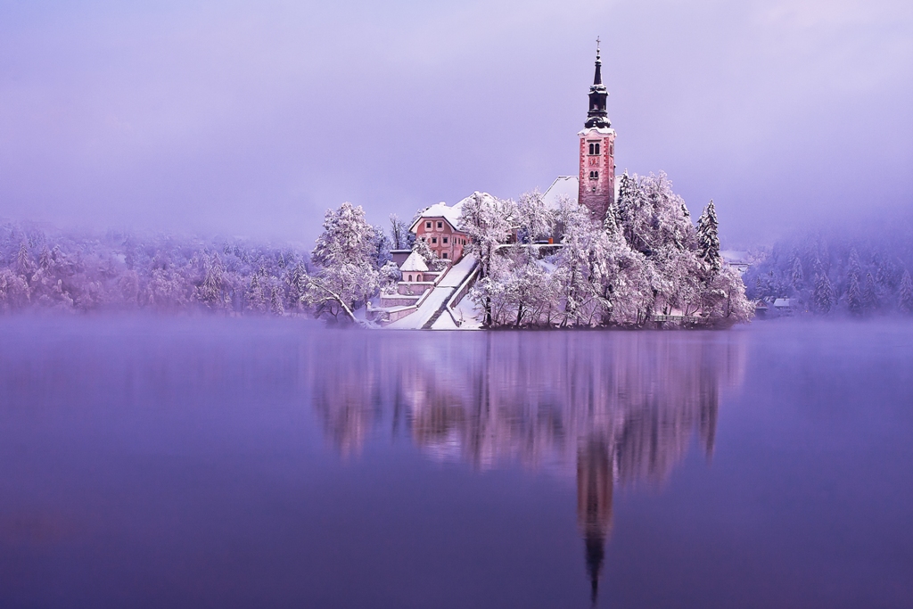 Bled_in_white_Author_-__Franci_Ferjan_1.jpg