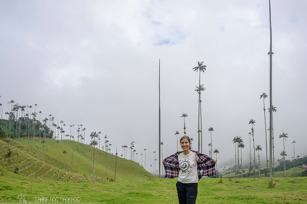 Kolumbija_Valle_de_cocora_015.jpg