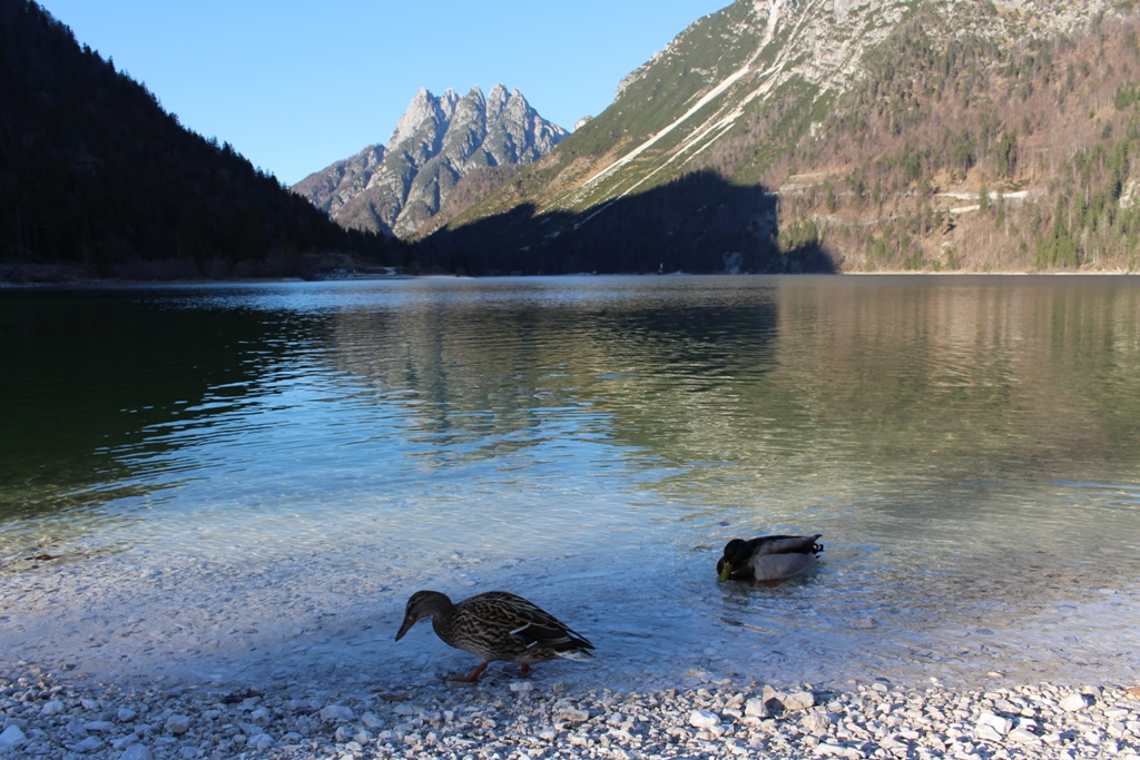 Rabeljsko_jezero_2.JPG