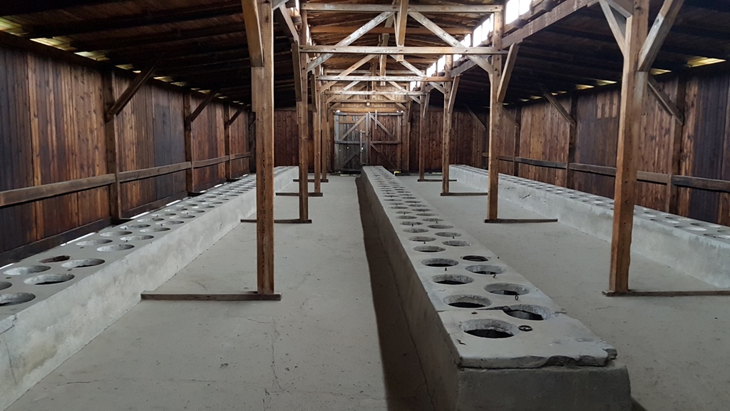 Auschwitz_in_Birkenau_1.jpg