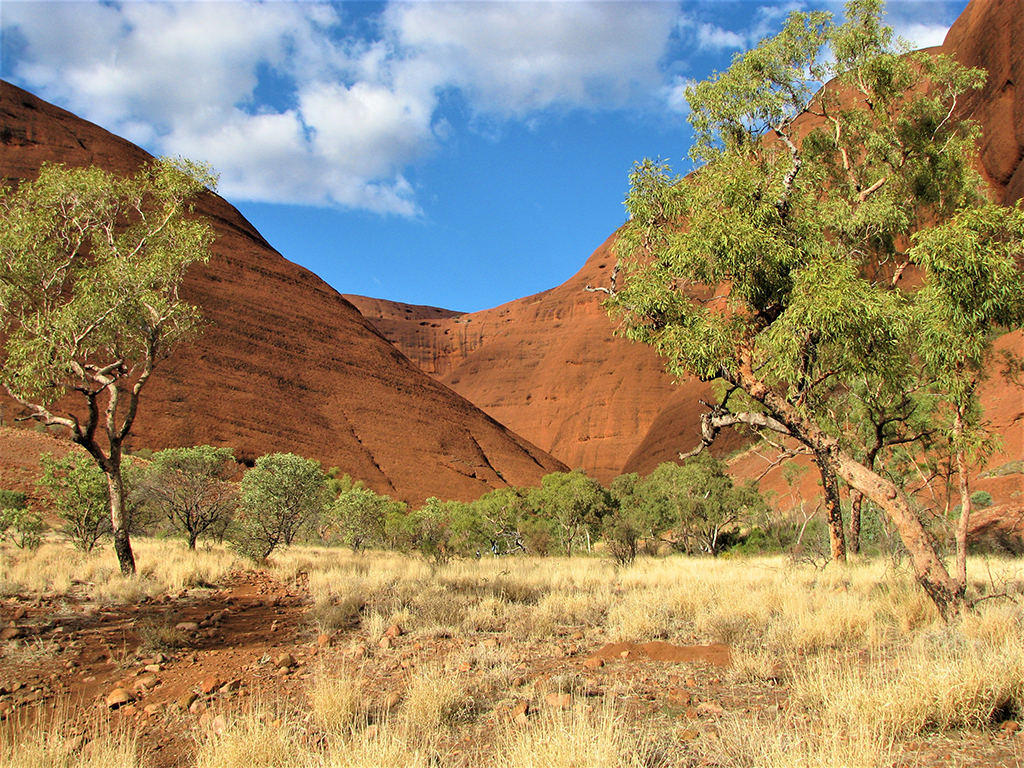 Potovanje_v_Avstralijo_-_Travel_to_Australia_4.jpg