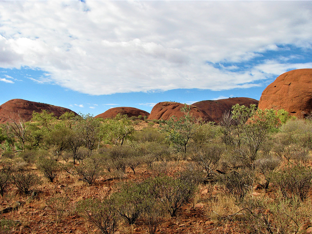 Potovanje_v_Avstralijo_-_Travel_to_Australia_6.jpg