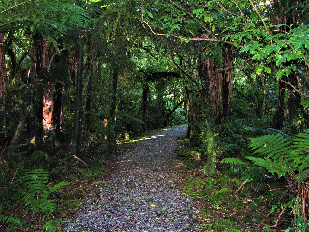 Franz_Josef_glacier_trek_1.jpg