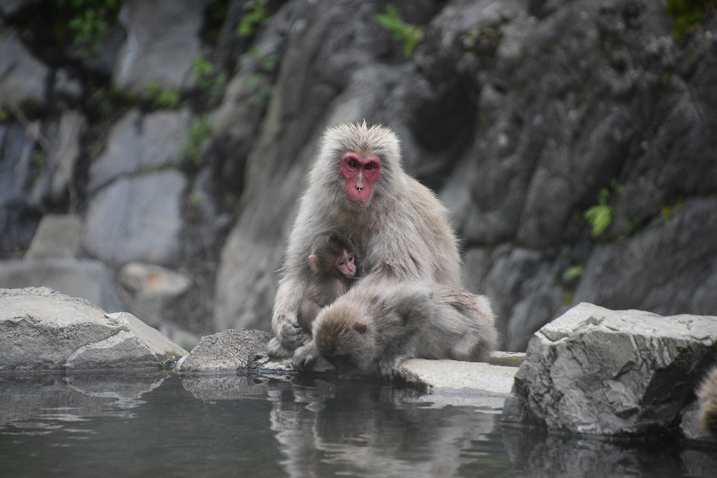 Potovanje_po_Japonski_-_Travel_to_Japan_1.JPG