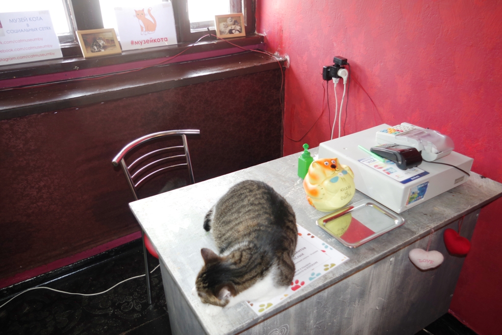 5_-_Minsk_Cat_museum_director.jpg