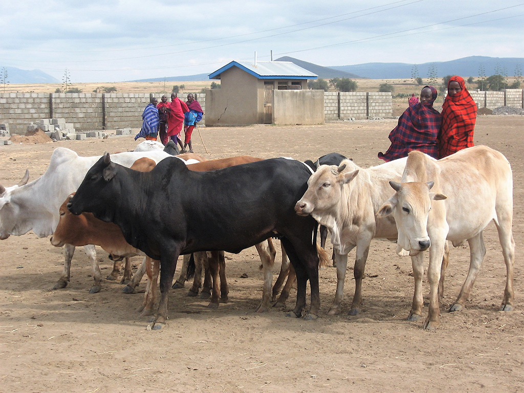 Trekking_in_Tanzania_-_Treking_v_Tanzaniji_7.jpg