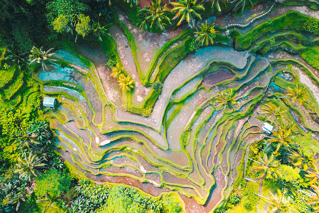Photo_by_Jason_Cooper_on_Unsplash.jpg